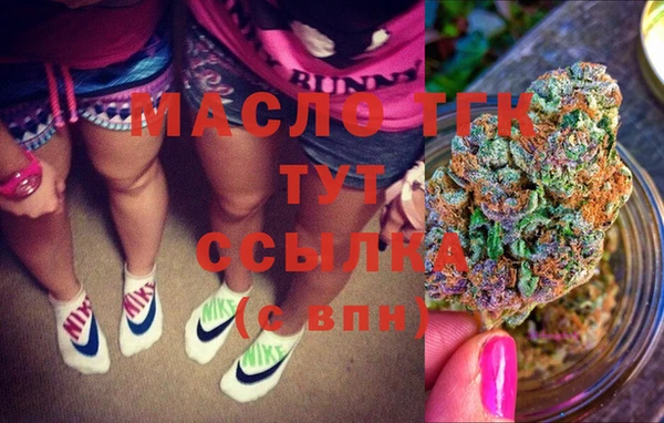 скорость Каменка