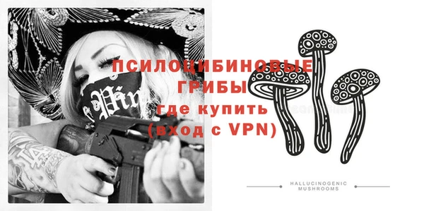 круглые Каменногорск