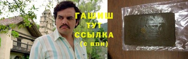 скорость Каменка