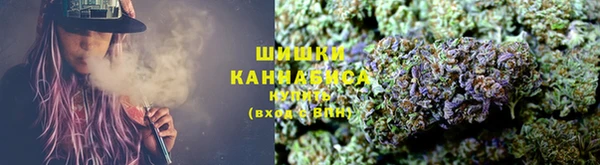 скорость Каменка