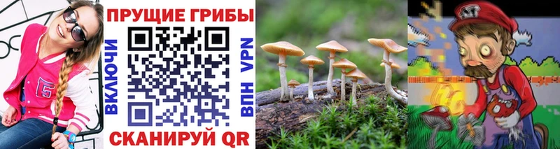 Галлюциногенные грибы GOLDEN TEACHER  Купить закладки  Фурманов 